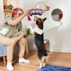 Frisco Pride Plush With Rope Squeaky Dog Toy 7 Frisco Pride Plush With Rope Squeaky Dog Toy -Chewy 331661 PT3. AC SS1800 V1647356002