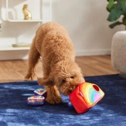 Frisco Pride Rainbow Hide & Seek Puzzle Plush Squeaky Dog Toy 9 Frisco Pride Rainbow Hide & Seek Puzzle Plush Squeaky Dog Toy -Chewy 331673 PT3. AC SS1800 V1647356070