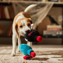 Frisco Halloween Elixirs Plush Squeaky Dog Toy 9 Frisco Halloween Elixirs Plush Squeaky Dog Toy -Chewy 344004 PT3. AC SS1800 V1689878498