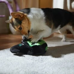 Frisco Halloween Bad Witch Round Plush Squeaky Dog Toy 9 Frisco Halloween Bad Witch Round Plush Squeaky Dog Toy -Chewy 344006 PT3. AC SS1800 V1657657029