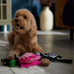 Frisco Halloween Flamingo Plush Squeaky Dog Toy 8 Frisco Halloween Flamingo Plush Squeaky Dog Toy -Chewy 344123 PT3. AC SS1800 V1657657035