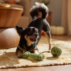 Frisco Halloween Glow In The Dark TPR Squeaky Bone & Ball Dog Toy -Chewy 344130 PT3. AC SS1800 V1657657042