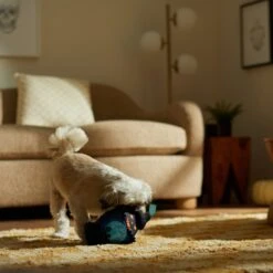 Frisco Halloween Lantern Ballistic Nylon Plush Squeaky Dog Toy -Chewy 344138 PT3. AC SS1800 V1657657042