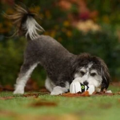 Frisco Halloween Mummy Latex Squeaky Dog Toy -Chewy 344140 PT3. AC SS1800 V1657657042