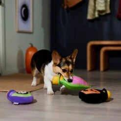 Frisco Halloween Potion Bottles Plush Squeaky Dog Toy -Chewy 344144 PT3. AC SS1800 V1657657048