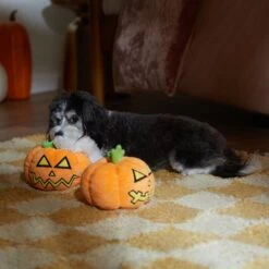 Frisco Halloween Scary Jack-O-Lantern Plush Squeaky Dog Toy 9 Frisco Halloween Scary Jack-O-Lantern Plush Squeaky Dog Toy -Chewy 344158 PT3. AC SS1800 V1657657048