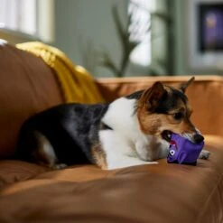 Frisco Halloween Vampire Latex Squeaky Dog Toy 8 Frisco Halloween Vampire Latex Squeaky Dog Toy -Chewy 344166 PT3. AC SS1800 V1657657049