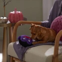 Frisco Halloween Vampire Round Plush Squeaky Dog Toy -Chewy 344168 PT3. AC SS1800 V1657657049