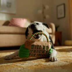 Frisco Halloween "Will Do Tricks For Treats" Sign Plush With Rope Squeaky Dog Toy -Chewy 344172 PT3. AC SS1800 V1657657049