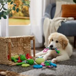 Frisco Small Breed Puppies Rope & TPR Variety Pack Puppy Toy -Chewy 358552 PT4. AC SS1800 V1669908588
