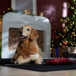 Frisco Holiday "Happy Pawlidays" Bone Plush Squeaky Dog Toy, Medium, 2 Count -Chewy 360942 PT3. AC SS1800 V1661874360