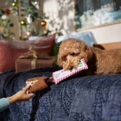 Frisco Holiday Home For The Holidays Airline Ticket Bungee Plush Squeaky Dog Toy 11 Frisco Holiday Home For The Holidays Airline Ticket Bungee Plush Squeaky Dog Toy -Chewy 360966 PT3. AC SS1800 V1661874362