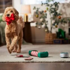 Frisco Holiday Gift Wrapping Set Plush Squeaky Dog Toy -Chewy 360968 PT3. AC SS1800 V1661874420