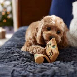 Frisco Holiday Santa's List Plush & TPR Inside Dog Toy -Chewy 360970 PT3. AC SS1800 V1661874421