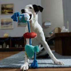 Frisco Hanukkah Celebration Plush With Rope Squeaky Dog Toy -Chewy 360986 PT3. AC SS1800 V1661874063