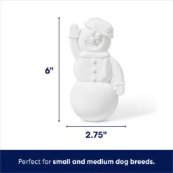 Frisco Nylon Snowman Dog Chew Toy, Mint Flavor -Chewy 368820 PT1. AC SS1800 V1694812399