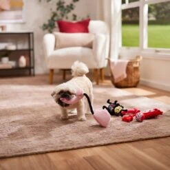 Frisco Valentine Rope, TPR & Plush Variety Pack Dog Toy -Chewy 371077 PT3. AC SS1800 V1668737456