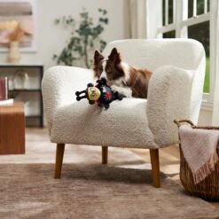 Frisco Valentine Jammin' Ladybug Plush Squeaky Dog Toy 10 Frisco Valentine Jammin' Ladybug Plush Squeaky Dog Toy -Chewy 371083 PT3. AC SS1800 V1668737455