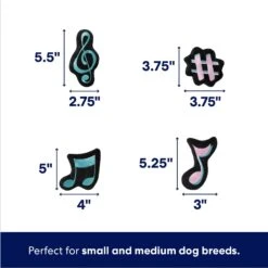 Frisco Valentine Love Song Record Player Hide & Seek Puzzle Plush Squeaky Dog Toy -Chewy 371087 PT2. AC SS1800 V1701364927