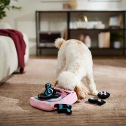 Frisco Valentine Love Song Record Player Hide & Seek Puzzle Plush Squeaky Dog Toy -Chewy 371087 PT3. AC SS1800 V1668737233