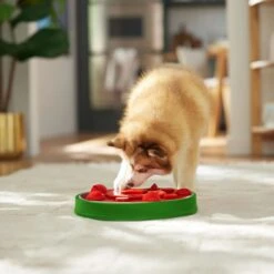 Frisco Watermelon Interactive Puzzle Dog Toy, Advanced -Chewy 506322 PT5. AC SS1800 V1674667034