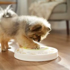 Frisco Tiered Cake Interactive Puzzle Dog Toy, Easy -Chewy 506346 PT5. AC SS1800 V1674666566