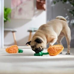 Frisco Easter Carrot Plush With Rope Squeaky Dog Toy -Chewy 550486 PT4. AC SS1800 V1702500565