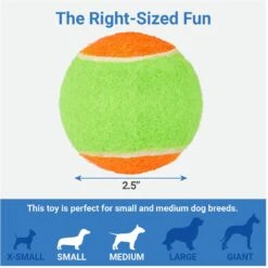 Frisco Dumbbell TPR Fetch Dog Toy + 3 Items -Chewy 582446 PT6. AC SS1800 V1658238980