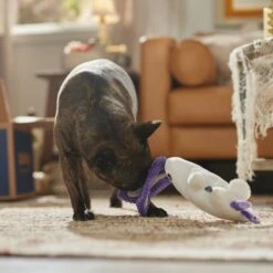 Frisco Halloween Bunny Ghost Plush Squeaky Dog Toy -Chewy 667878 PT3. AC SS1800 V1689340856