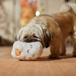 Frisco Halloween Trick Or Treat Ghost Plush Squeaky Dog Toy -Chewy 667974 PT3. AC SS1800 V1689350978