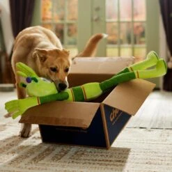 Frisco Halloween Alien Wagazoo Plush Squeaky Dog Toy, Extra Long -Chewy 668134 PT3. AC SS1800 V1689282428