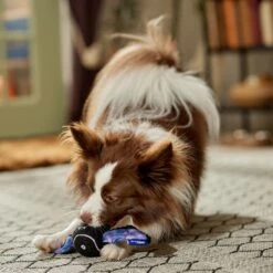 Frisco Halloween Bat Fetch Squeaky Tennis Ball Dog Toy -Chewy 668278 PT3. AC SS1800 V1689350166