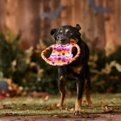 Frisco Halloween Ghost Swirl Fetch Flyer Dog Toy -Chewy 668294 PT3. AC SS1800 V1689278363