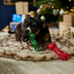Frisco Holiday Naughty & Nice TPR Bone Squeaky Dog Toy -Chewy 739702 PT3. AC SS1800 V1694812786