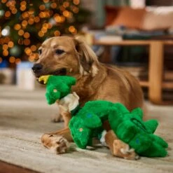 Frisco Holiday Elf In A Tree Bungee Plush Squeaky Dog Toy -Chewy 739846 PT3. AC SS1800 V1695047600