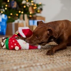 Frisco Holiday Santa On Vacation 2-in-1 Plush Squeaky Dog Toy -Chewy 739894 PT3. AC SS1800 V1695045718