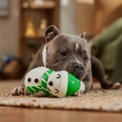 Frisco Holiday Snowman Latex Squeaky Dog Toy 9 Frisco Holiday Snowman Latex Squeaky Dog Toy -Chewy 773870 PT3. AC SS1800 V1695044328