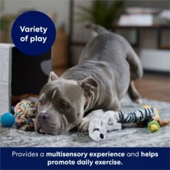 Frisco Forest Friends Plush, Rope & TPR Variety Pack Dog Toy -Chewy 843534 PT3. AC SS1800 V1693411070