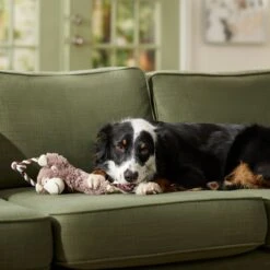 Frisco Monkey Plush With Rope Squeaky Dog Toy & Frisco Cow Plush With Inside Rope Squeaky Dog Toy -Chewy 961998 PT4. AC SS1800 V1694784009