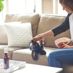 Frisco Corndog Interactive Plush Squeaky Dog Toy & Frisco Guacamole Hide & Seek Puzzle Plush Squeaky Dog Toy -Chewy 962086 PT3. AC SS1800 V1694782979