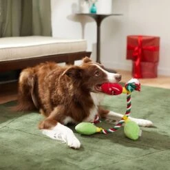 Frisco Holiday Reindeer Plush With Rope Squeaky Dog Toy & Frisco Holiday Lights Plush With Rope Squeaky Dog Toy 17 Frisco Holiday Reindeer Plush With Rope Squeaky Dog Toy & Frisco Holiday Lights Plush With Rope Squeaky Dog Toy -Chewy 986134 PT8. AC SS1800 V1698258405