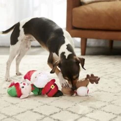 Frisco Holiday Santa's Helpers Plush Squeaky Dog Toy, 3 Count & Frisco Holiday Tree Thin Plush Squeaky Dog Toy -Chewy 986222 PT4. AC SS1800 V1698258463