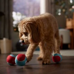 Frisco Holiday Ho Ho Ho Fetch Squeaky Tennis Ball Dog Toy & Frisco Holiday Arctic Friends Stuffing-Free Skinny Plush Squeaky Dog Toy -Chewy 986310 PT4. AC SS1800 V1698257790